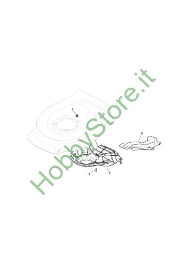 Picture of Carter Cinghia