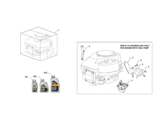 Picture of Motore Completo, Pompa Benzina