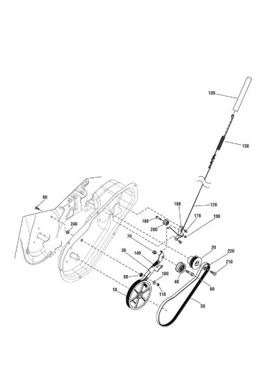 Picture of Belt Trasmissione