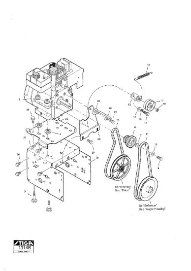 Picture of Cinghie Motore