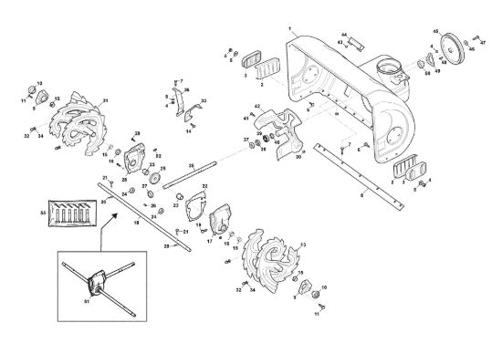 Picture of Carter