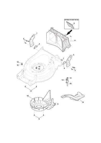 Picture of Carter Cinghia