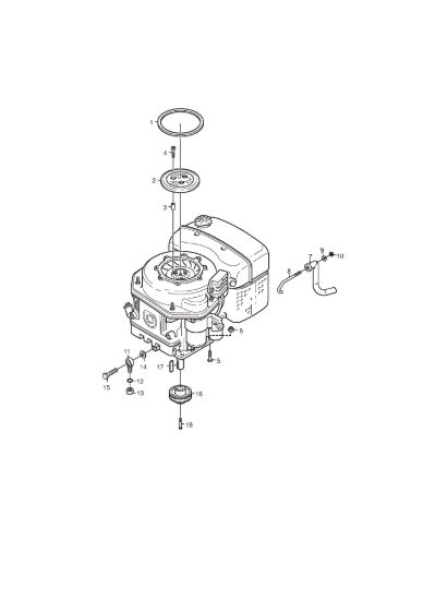 Picture of Motore