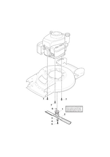 Picture of Coltello (Lama)