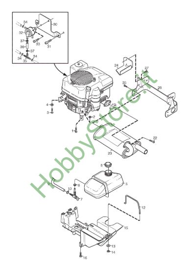 Picture of Motore