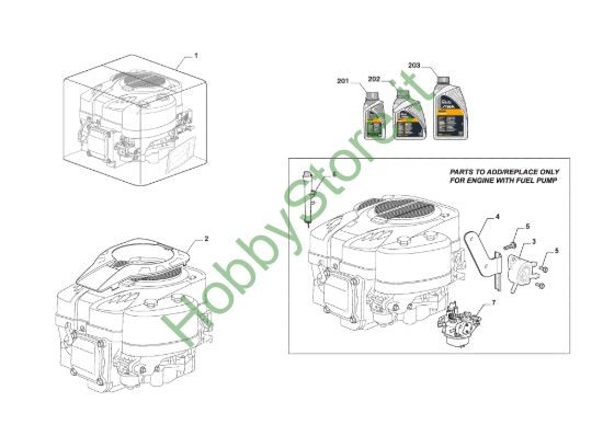 Picture of Motore Completo, Pompa Benzina