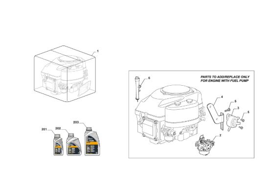 Picture of Motore Completo, Pompa Benzina