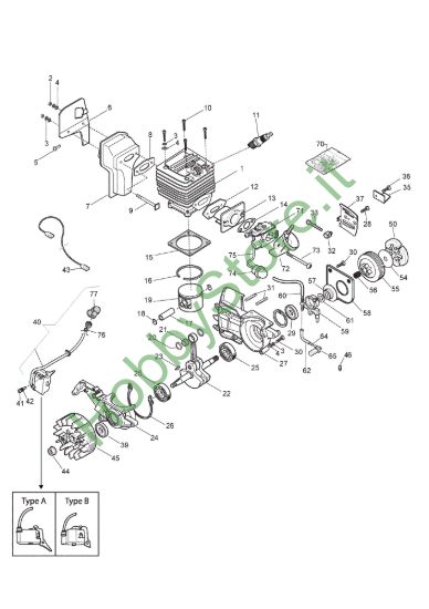 Picture of Motore