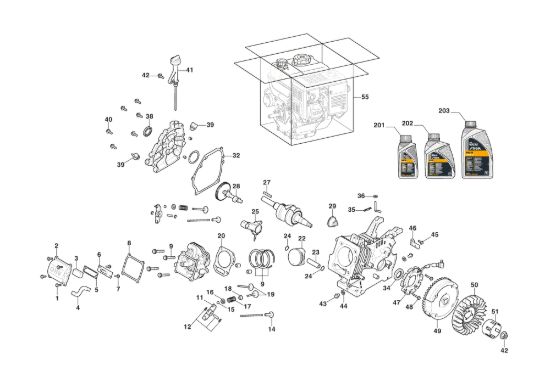 Picture of Motore WS 250 - Pistone, Albero Motore