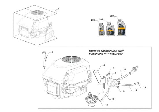 Picture of Motore Completo, Pompa Benzina
