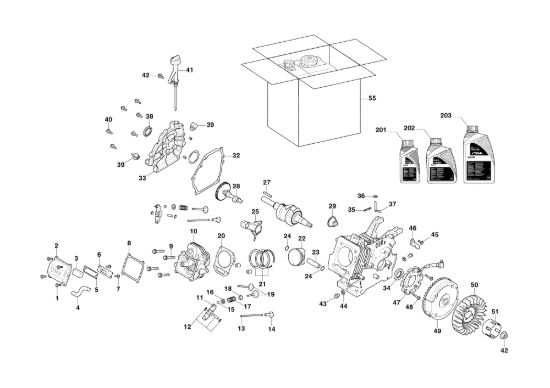 Picture of Motore WS 250 - Pistone, Albero Motore