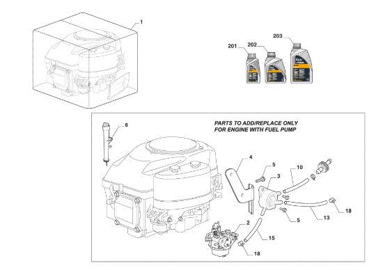 Picture of Motore Completo, Pompa Benzina