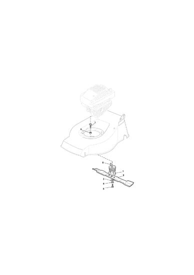 Picture of Coltello (Lama)