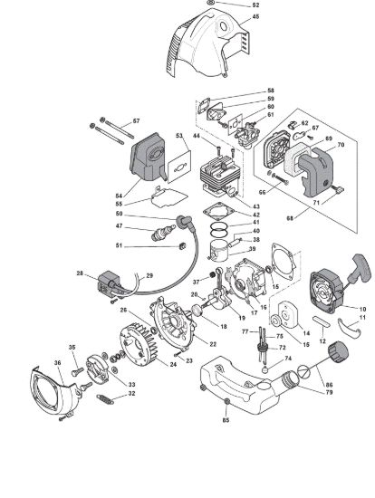 Picture of Motore