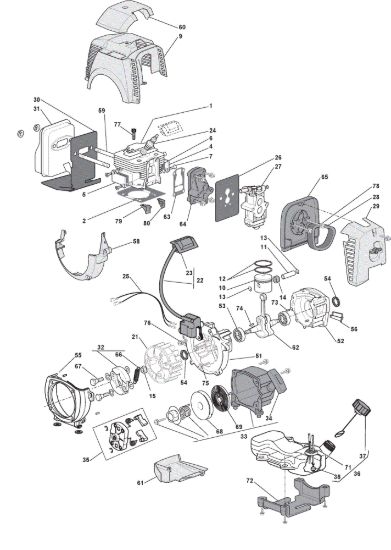 Picture of Motore