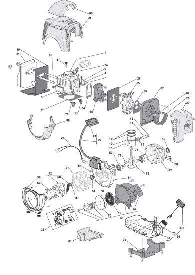 Picture of Motore