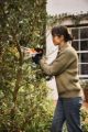 Potatore a batteria Stihl GTA 20