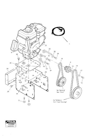 Picture of Cinghie Motore