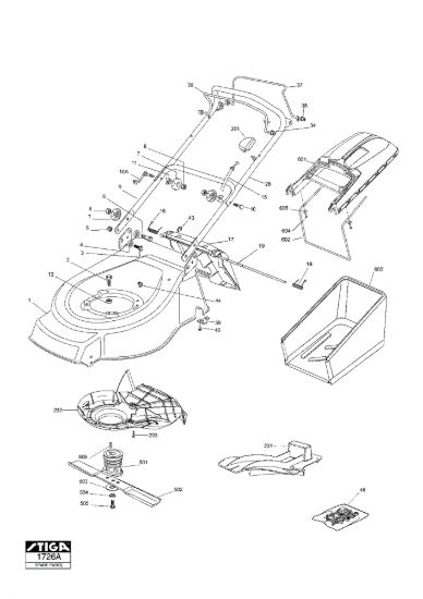 Picture of Chassis e Manico