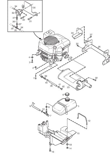Picture of Motore