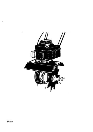 Picture of Tagliasiepi